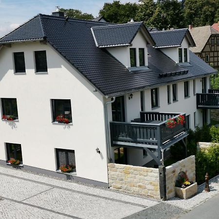 Apartment Vetter "Haentzschelstiege" Kurort Gohrisch Eksteriør bilde