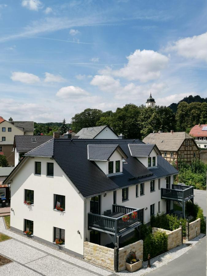 Apartment Vetter "Haentzschelstiege" Kurort Gohrisch Eksteriør bilde