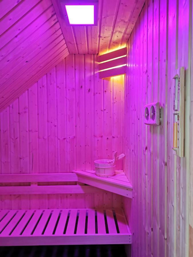 Apartment Vetter "Haentzschelstiege" Kurort Gohrisch Eksteriør bilde